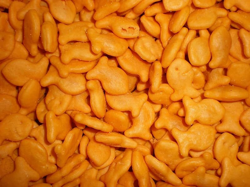 Goldfish Cheddar Goldfish